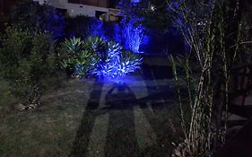 Paz na Serra Teresopolis
